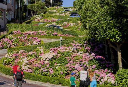 Empire Limousine Sacramento Lombard Street Tour San Francisco