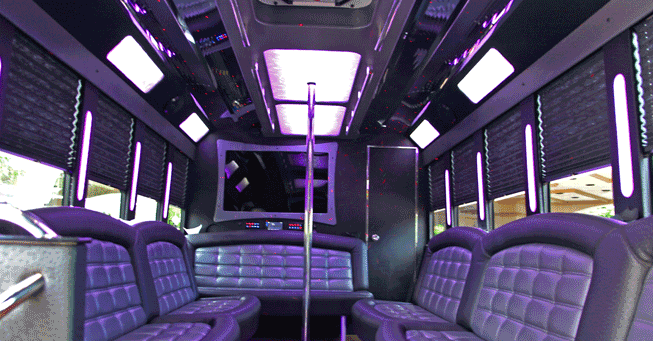 20 Passenger Party Bus Sacramento Interior