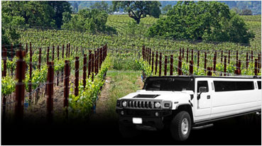 Clarksburg Wine Tours Empire Limousine Sacramento