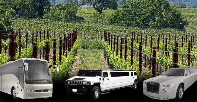 Clarksburg wine tours from Sacramento