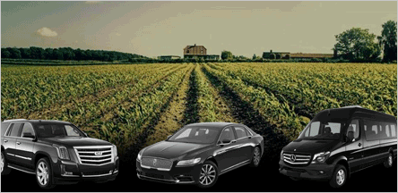 El Dorado County Wineries Sacramento El Dorado County Wineries Sacramento