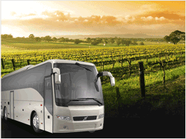 Napa Valley Wine Tours Sacramento Napa Valley Wine Tours Sacramento