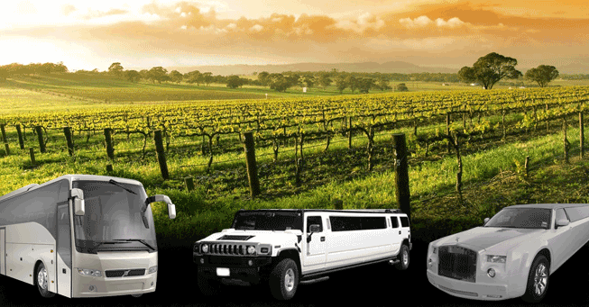 private limo wine tours napa valley