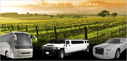 limo tours napa valley wineries