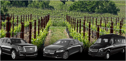 Sacramento Clarksburg Wine Tours Sacramento Clarksburg Wine Tours
