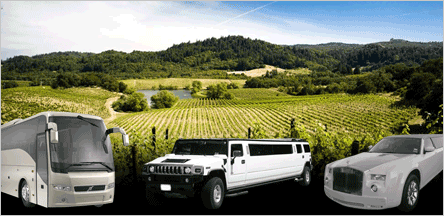 Sacramento Sonoma County Wineries