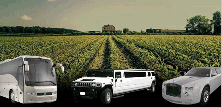 Sacramento to El Dorado County Wineries Sacramento to El Dorado County Wineries