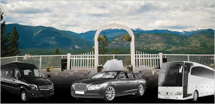 Sacramento Wedding Limo Service