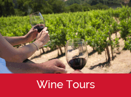 Wine Tours From Sacramento